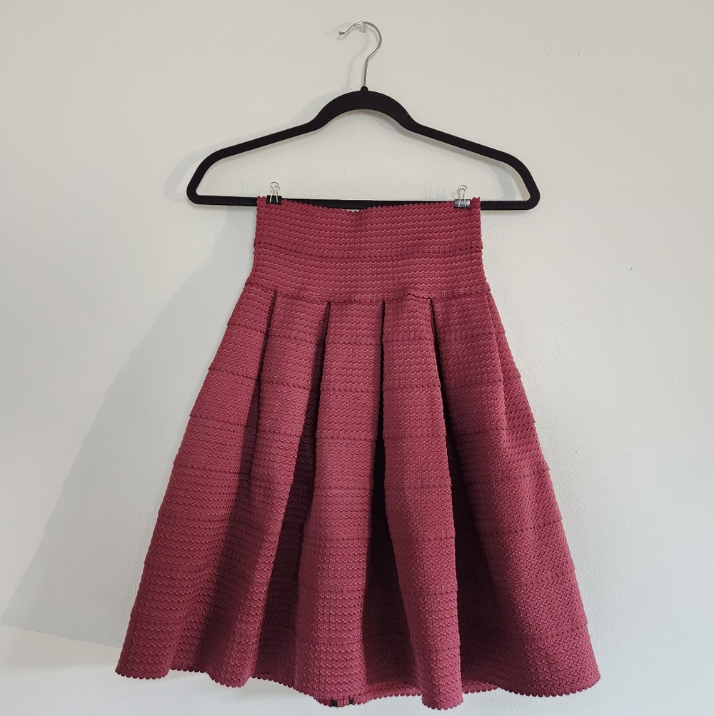 Anthropologie Pleated Mini Skirt